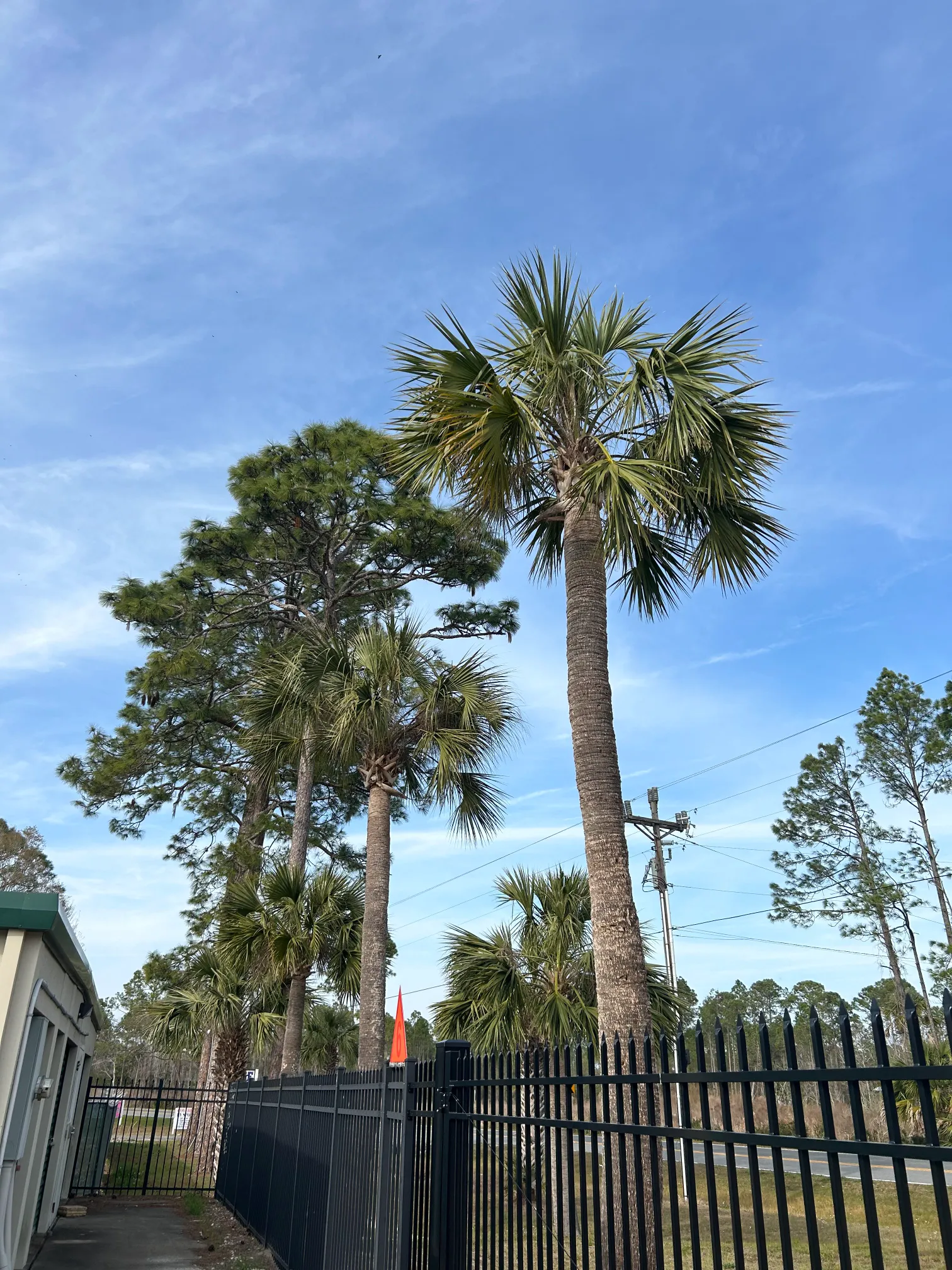 SunCo Storage - Steinhatchee Facility - Florida (14)